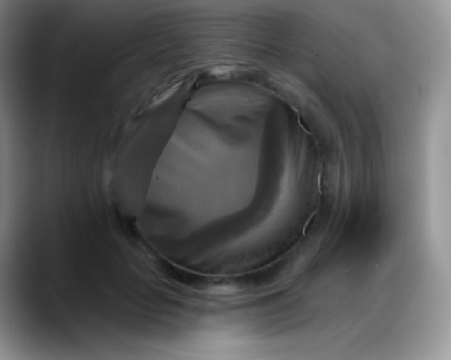 X0000088200653200705292033