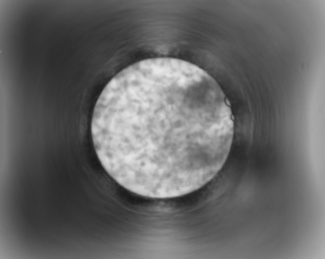 X0000088200656200705292033