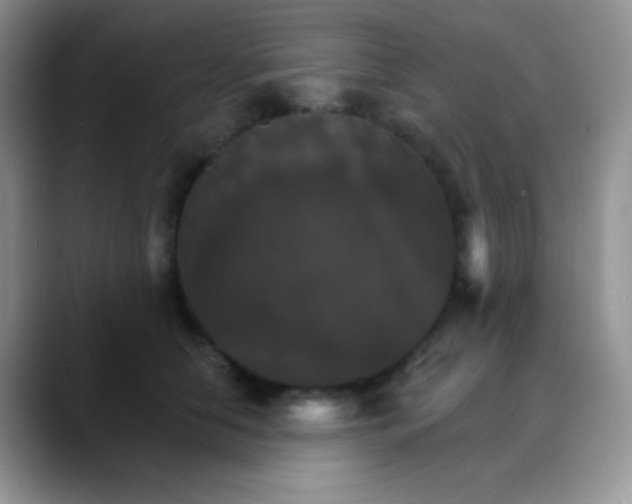 X0000088200658200705292033