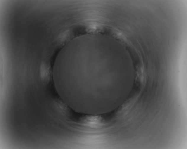 X0000088200659200705292033