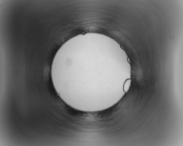 X0000088200660200705292033