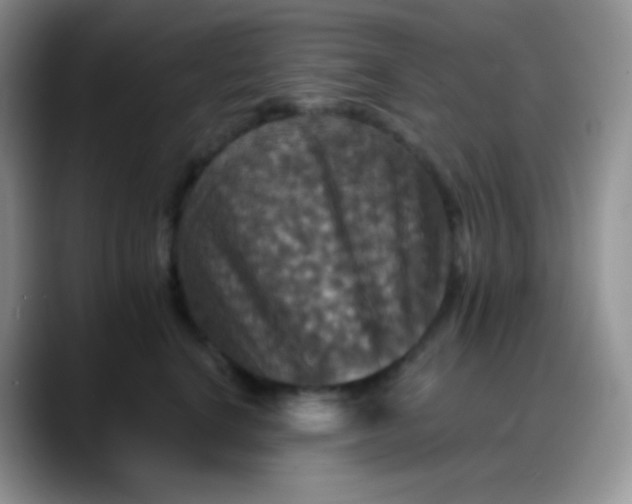 X0000088200664200705292033