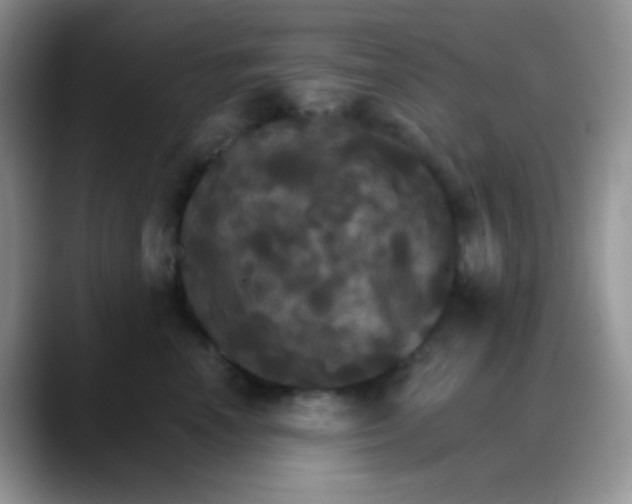 X0000088200666200705292034