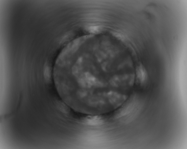 X0000088200667200705292034