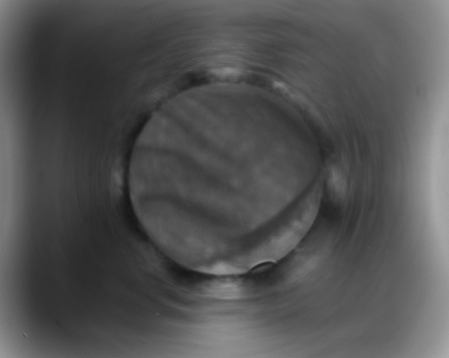 X0000088200668200705292034