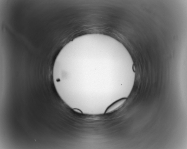 X0000088200669200705292034