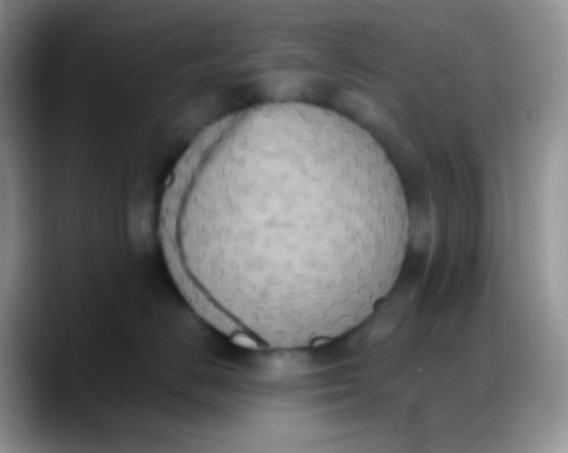 X0000088200670200705292034