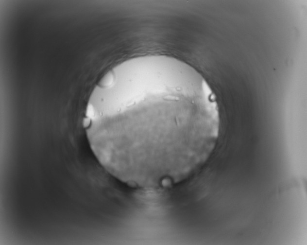 X0000088200672200705292034