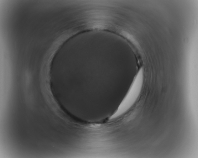 X0000088200673200705292033