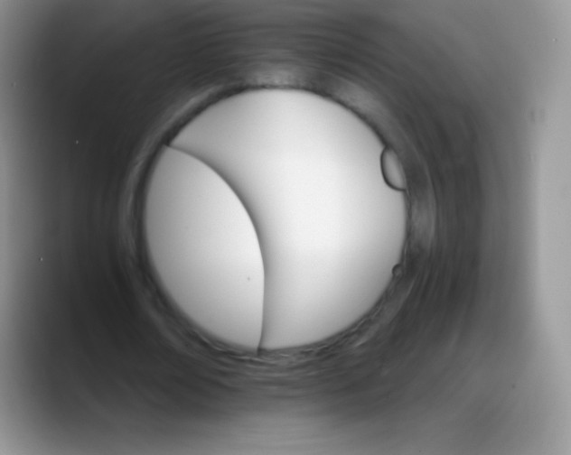 X0000088200674200705292033