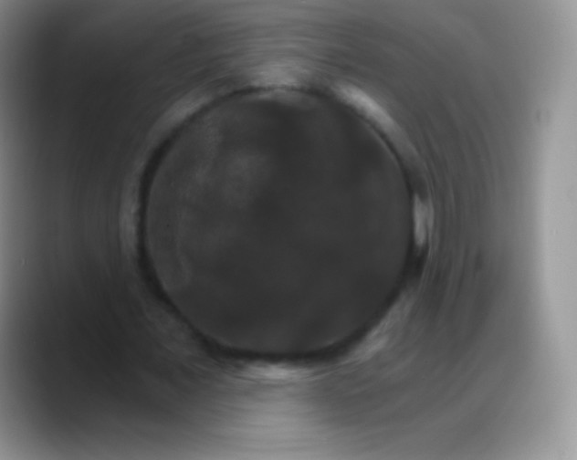 X0000088200675200705292033