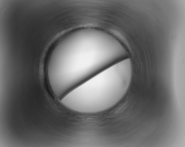 X0000088200676200705292033