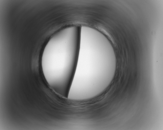 X0000088200677200705292033