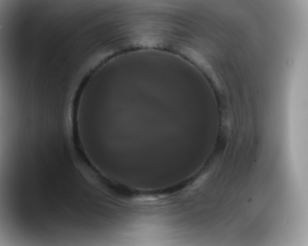 X0000088200678200705292033