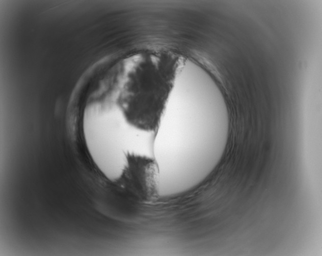 X0000088200679200705292033