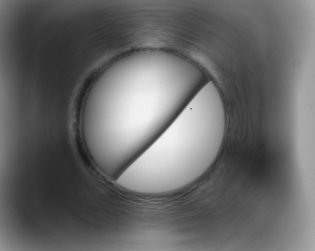 X0000088200680200705292033