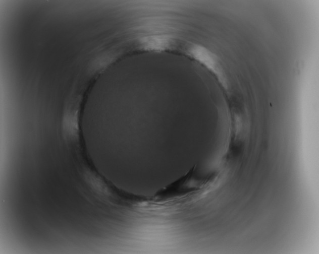 X0000088200681200705292033