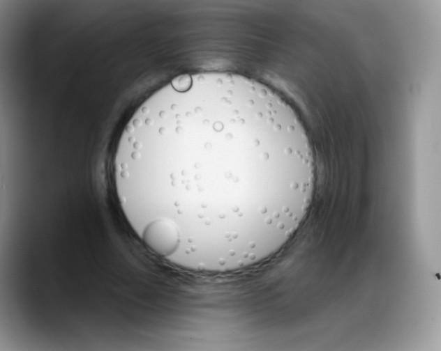 X0000088200682200705292033