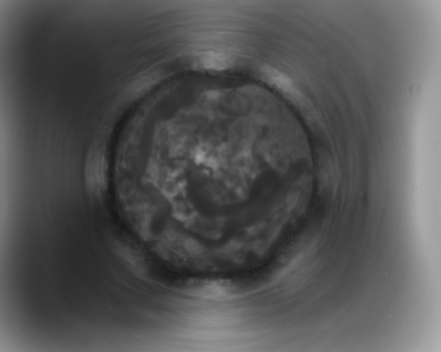 X0000088200683200705292033