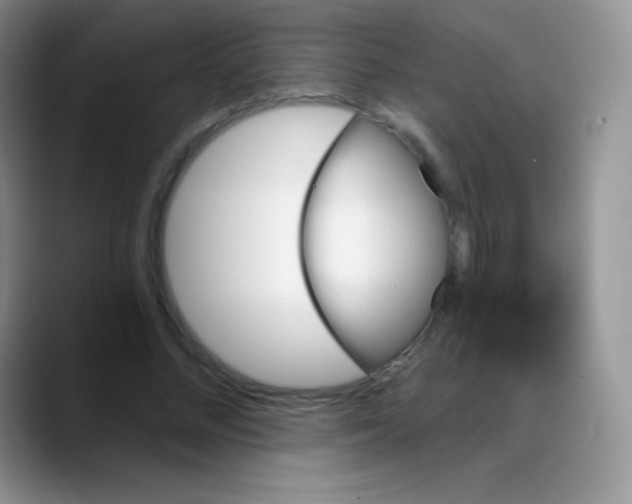 X0000088200684200705292033