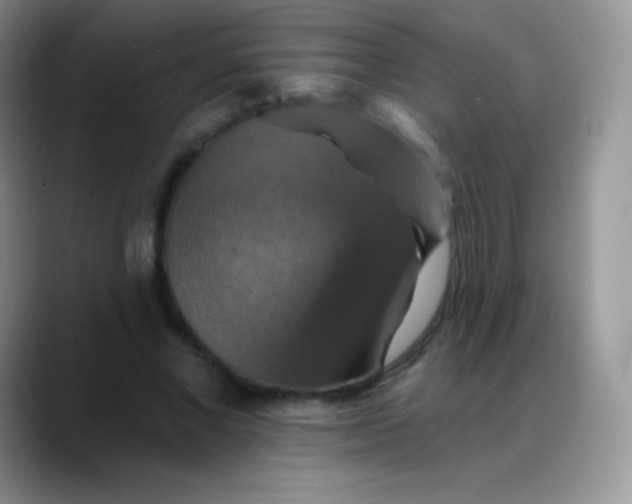 X0000088200685200705292033