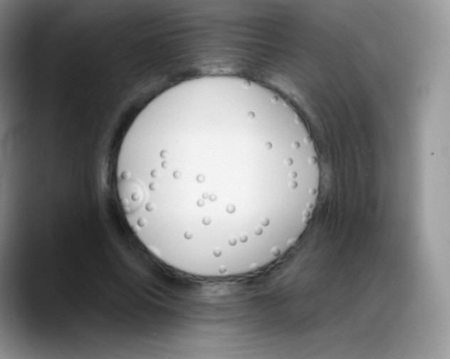 X0000088200686200705292033