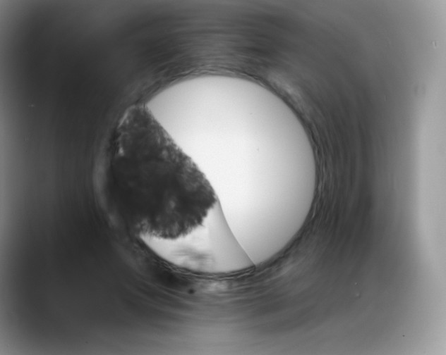 X0000088200687200705292033