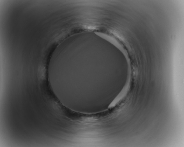 X0000088200689200705292033