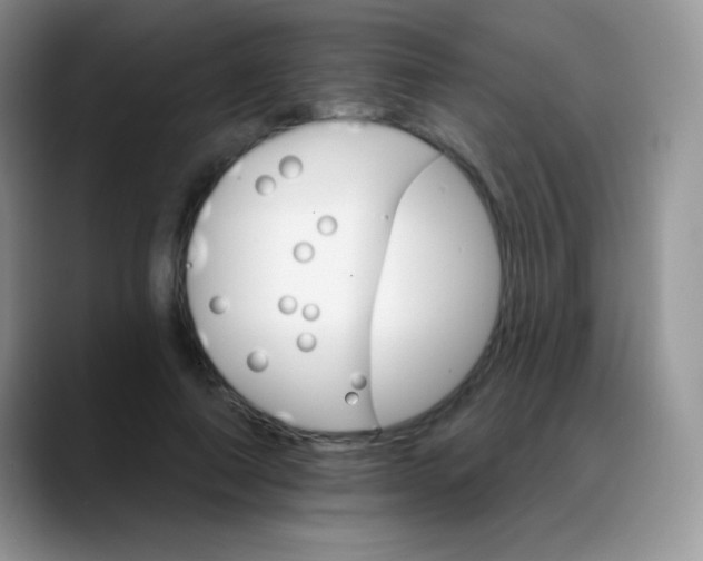 X0000088200690200705292033