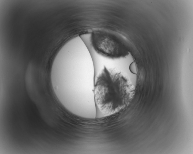 X0000088200691200705292033