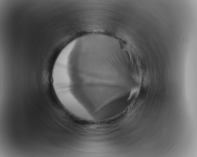 X0000088200692200705292033