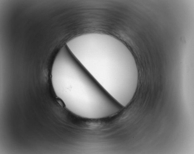 X0000088200693200705292033