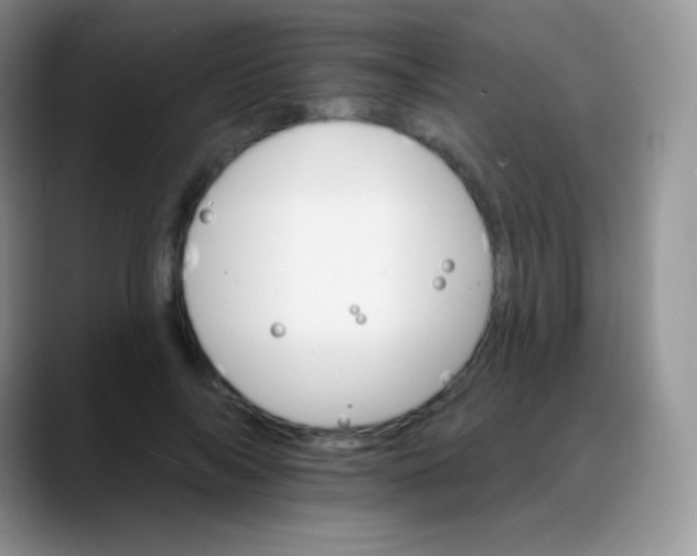 X0000088200694200705292033