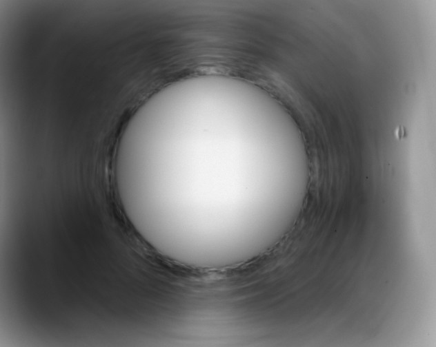 X0000088200696200705292033