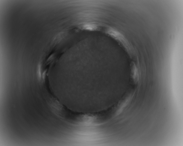 X0000088200697200705292033