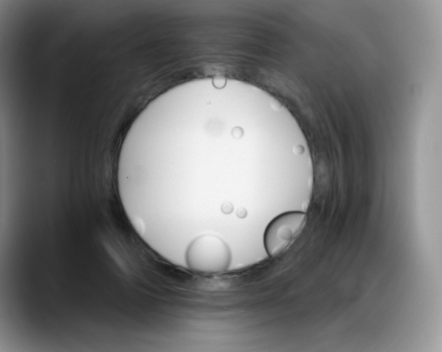 X0000088200698200705292033