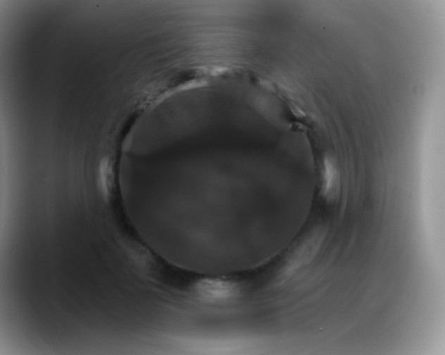 X0000088200699200705292033