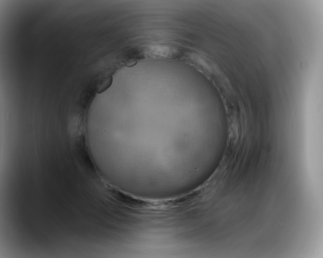 X0000088200701200705292033