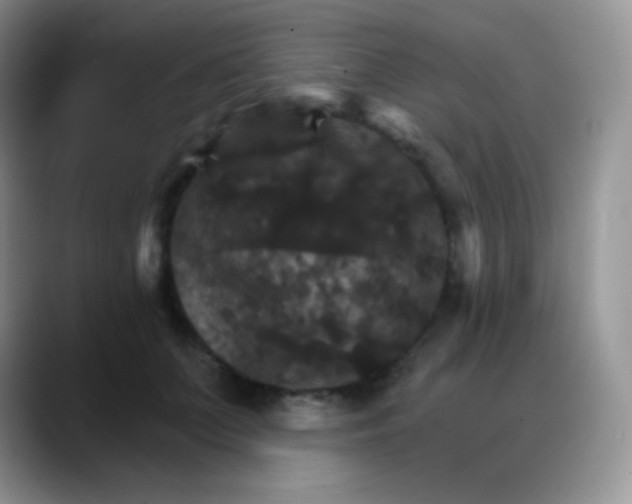 X0000088200703200705292033