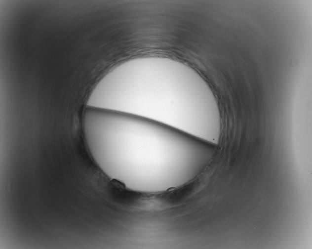 X0000088200704200705292033