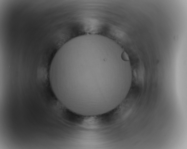 X0000088200705200705292033