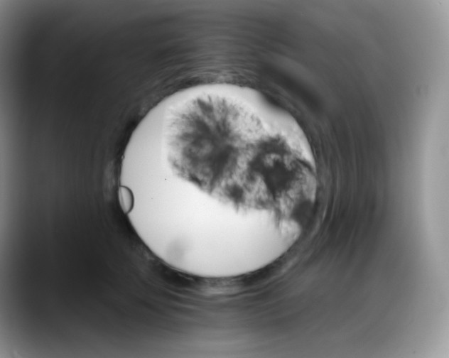 X0000088200707200705292033