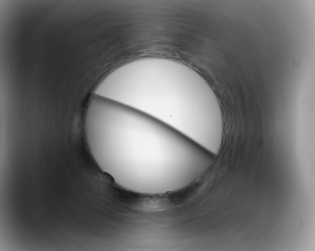 X0000088200708200705292033