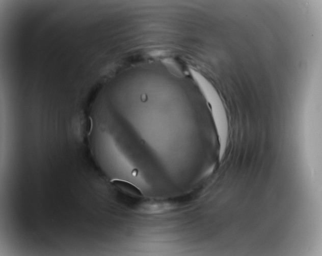 X0000088200712200705292032