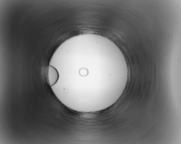 X0000088200714200705292032