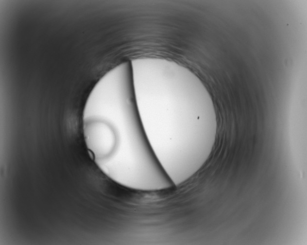 X0000088200715200705292032