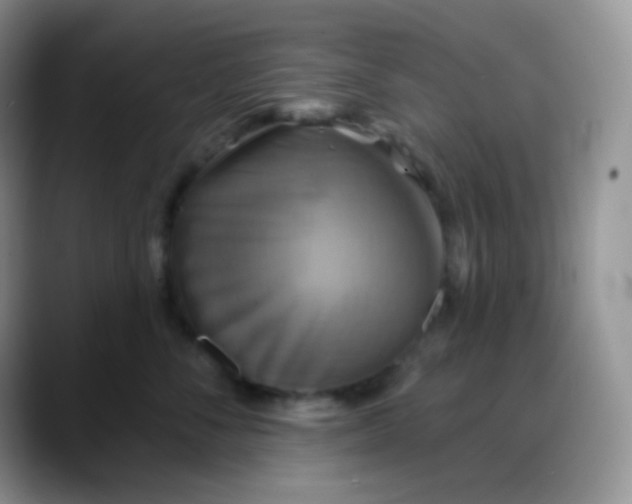 X0000088200716200705292032