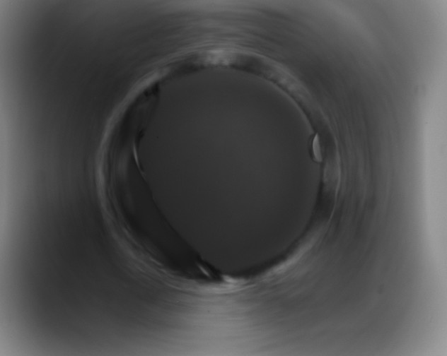 X0000088200722200705292032