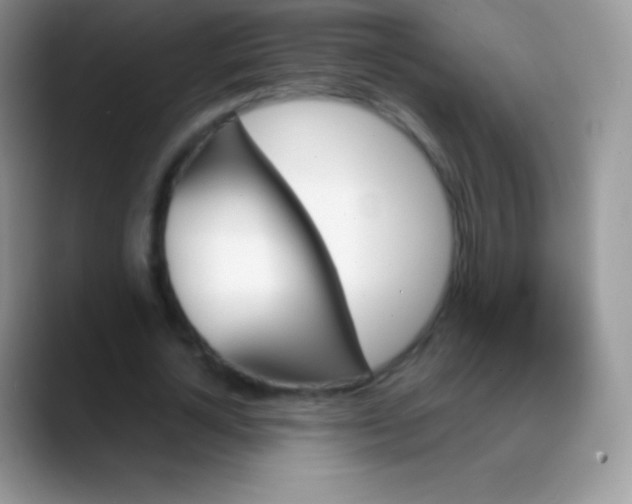 X0000088200724200705292032