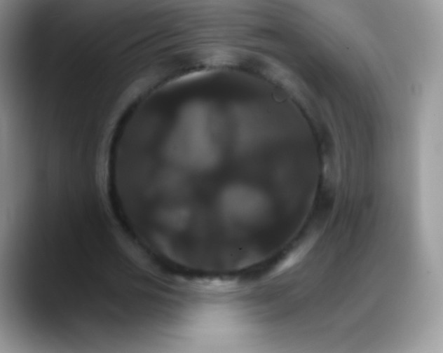 X0000088200725200705292032